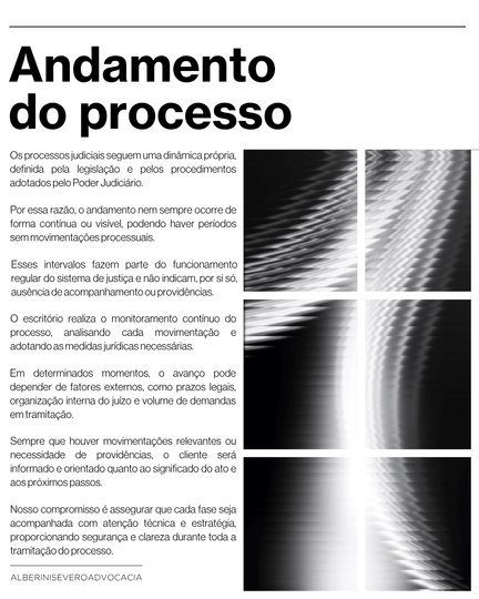 Guia do cliente da Alberini Severo